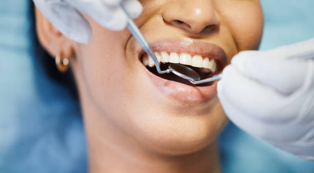 Best Weekend Emergency Dental Services in Ripley, WV